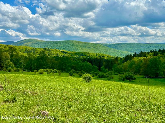 1114 Bull Run Road, Margaretville, NY 12455