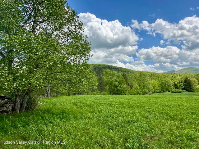 1114 Bull Run Road, Margaretville, NY 12455