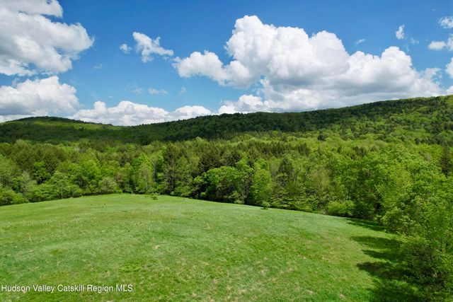 1114 Bull Run Road, Margaretville, NY 12455