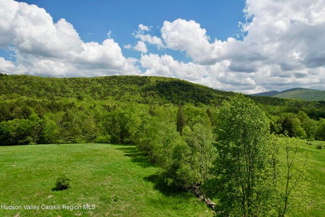 1114 Bull Run Road, Margaretville, NY 12455