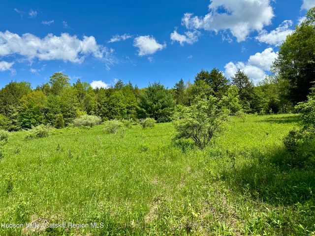 1114 Bull Run Road, Margaretville, NY 12455