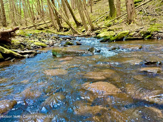 1114 Bull Run Road, Margaretville, NY 12455