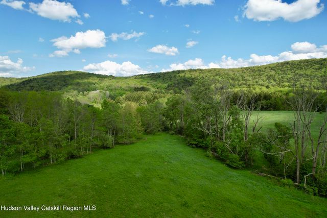 1114 Bull Run Road, Margaretville, NY 12455