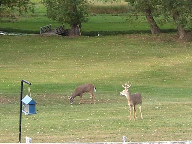 157 Garden Homes Dr, Colville, WA 99114