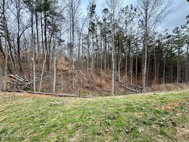 68 River Bend Park Drive, Iuka, MS 38852