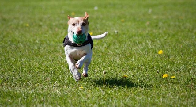 10310 Sand Pass Lane, Houston, TX 77064