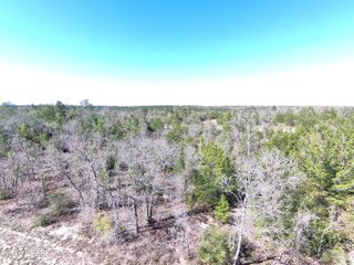 LOT 54 Dandelion Drive, Chipley, FL 32428