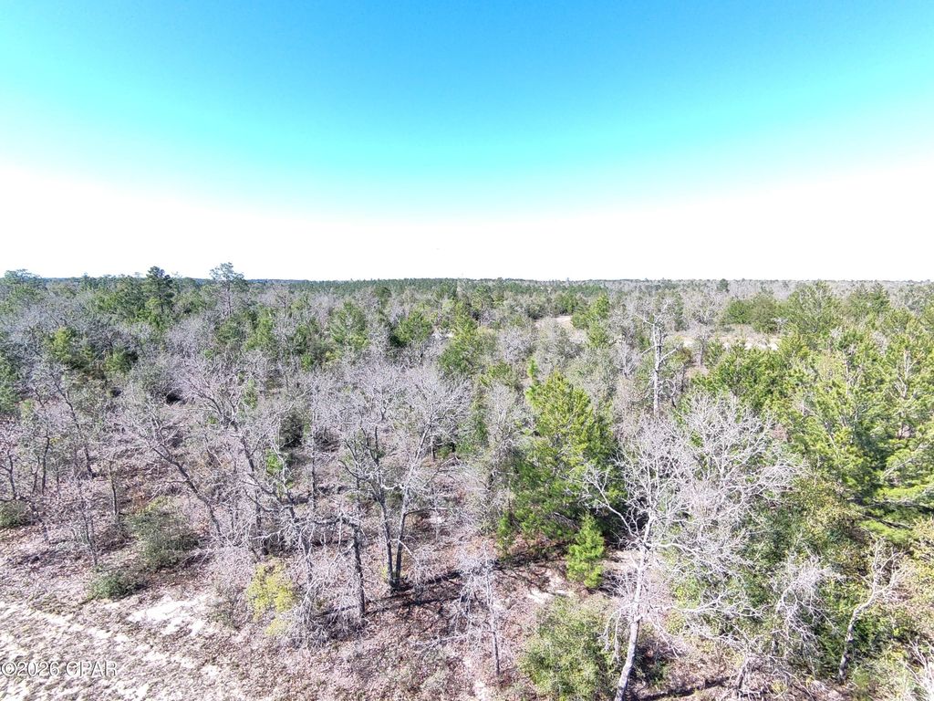 LOT 54 Dandelion Drive, Chipley, FL 32428