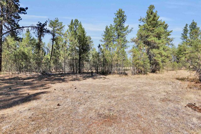 16619 S Sherman Rd, Cheney, WA 99004