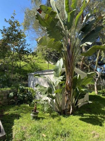 5015 Macario Dr, Oceanside, CA 92057