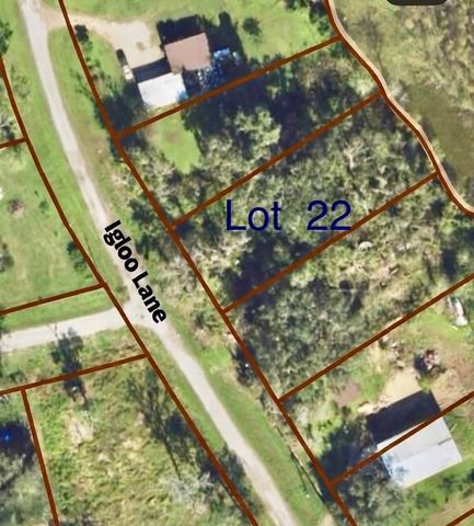 lot 22 Igloo Lane, Holiday Lakes, TX 77515