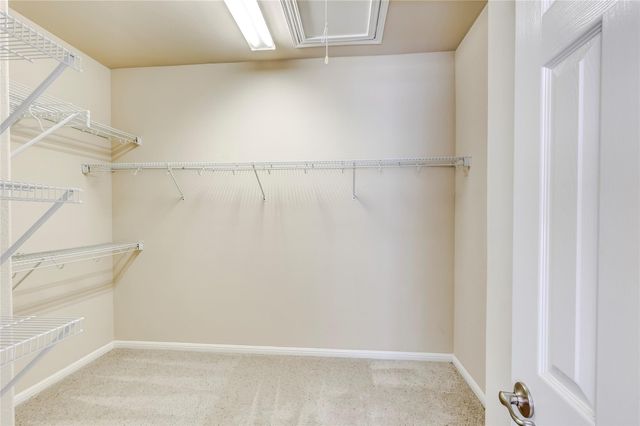 1533 Clary Sage LOOP, Round Rock, TX 78665