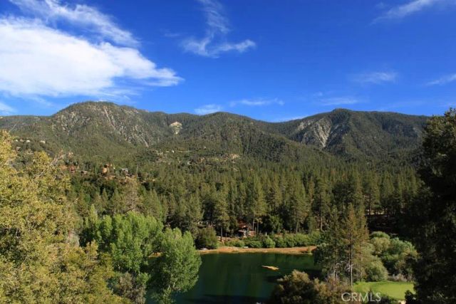 1613 Lassen Way, Pine Mountain Club, CA 93222