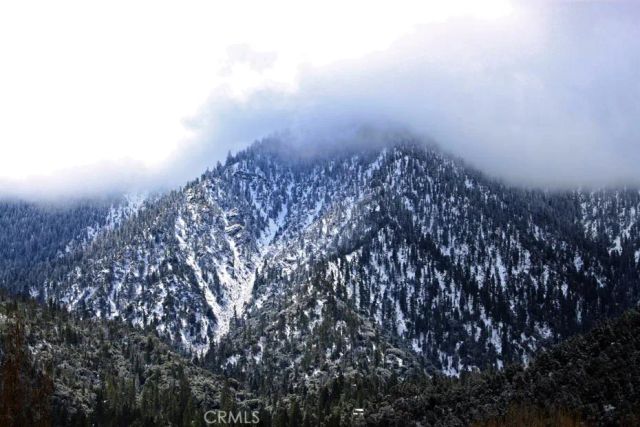 1613 Lassen Way, Pine Mountain Club, CA 93222
