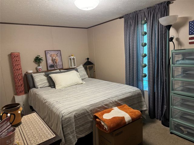 119 Zuni Street, Mabank, TX 75156