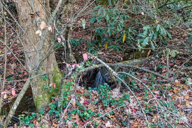 218 Turtle Lane, Hendersonville, NC 28791