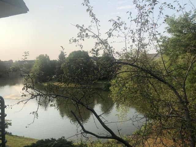 905 CASEY Court 6, Schaumburg, IL 60173