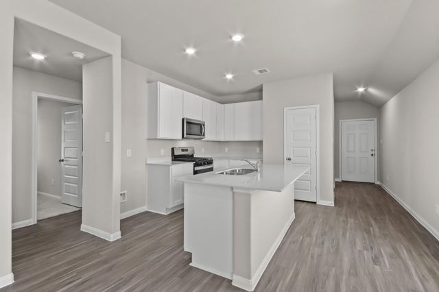13769 Sunshine Peak Drive, Willis, TX 77318