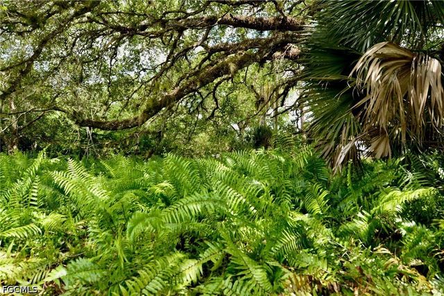 18220 Elmwood DR, Alva, FL 33920