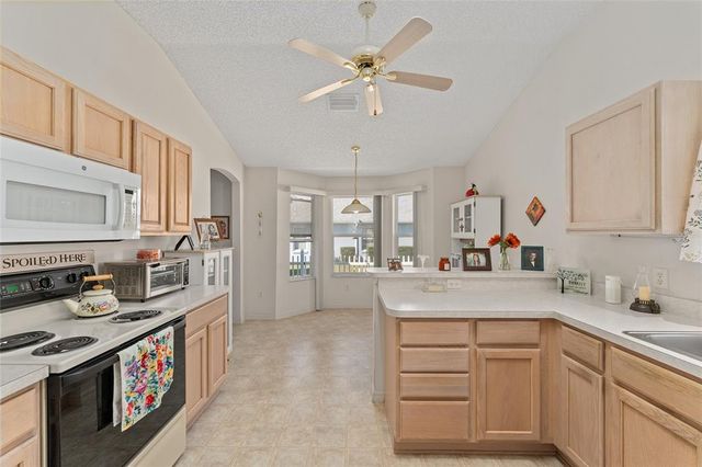 3009 BATALLY COURT, The Villages, FL 32162
