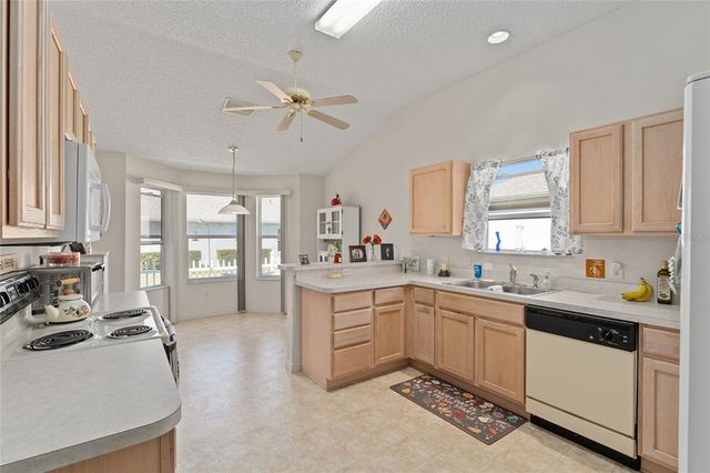 3009 BATALLY COURT, The Villages, FL 32162