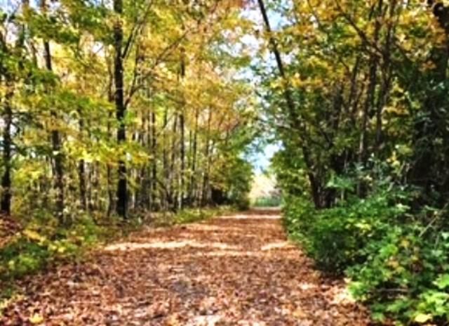 16861 W State Road 77, Hayward, WI 54843