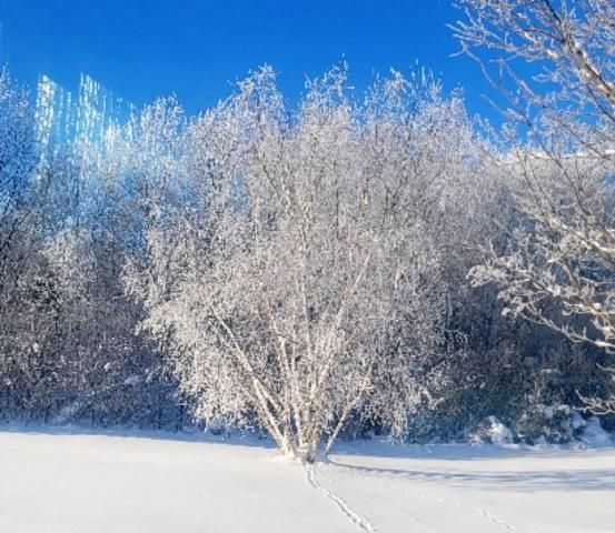 16861 W State Road 77, Hayward, WI 54843
