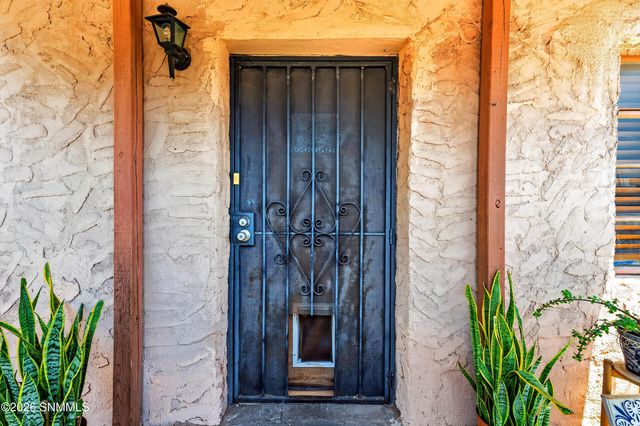 838 N Manzanita Street, Las Cruces, NM 88001