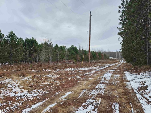 2354 Newman Road, Lake City, MI 49651