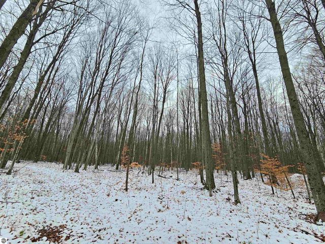 2354 Newman Road, Lake City, MI 49651