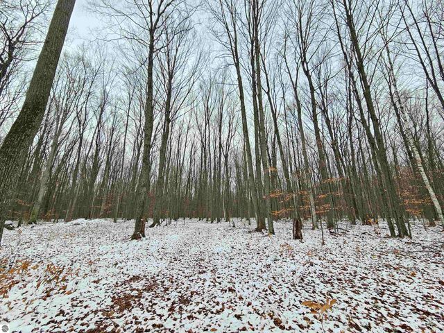 2354 Newman Road, Lake City, MI 49651