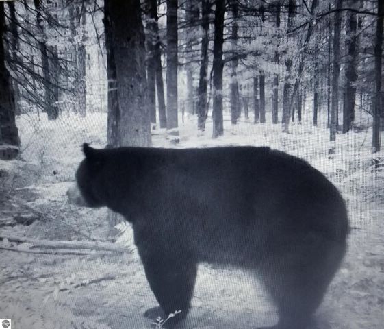 2354 Newman Road, Lake City, MI 49651