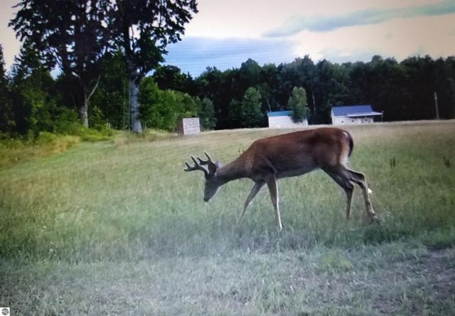 2354 Newman Road, Lake City, MI 49651