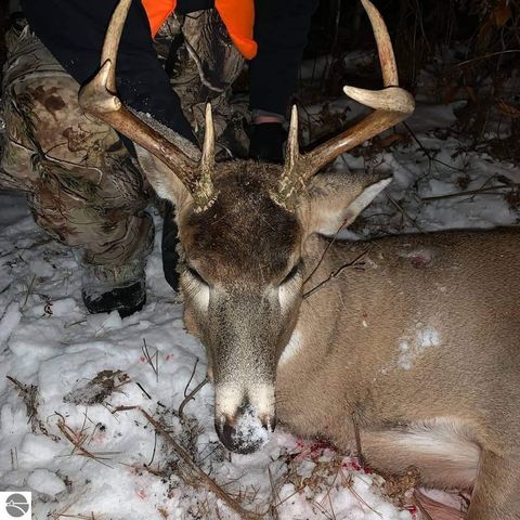 2354 Newman Road, Lake City, MI 49651