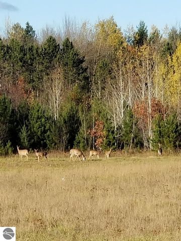 2354 Newman Road, Lake City, MI 49651