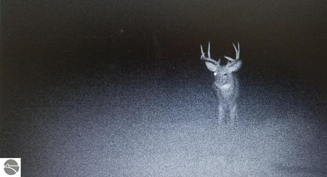 2354 Newman Road, Lake City, MI 49651