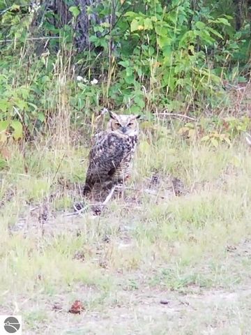 2354 Newman Road, Lake City, MI 49651