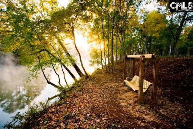 2011 Shallow Bluff Court, Lexington, SC 29072