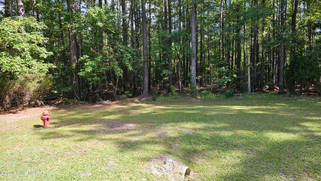 168 Arnetta Way N, Oriental, NC 28571