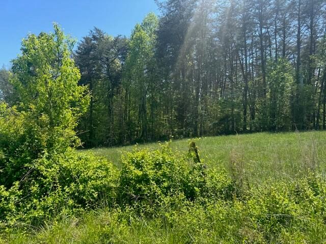 14.59 Mary Allender Road, Columbia, KY 42728