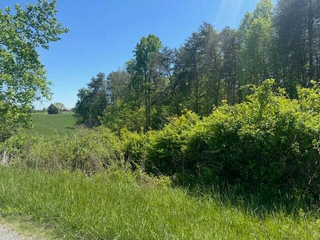 14.59 Mary Allender Road, Columbia, KY 42728