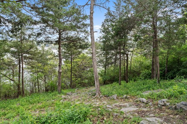 27276 E Lakeview Lane, Eagle Rock, MO 65641