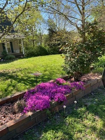27276 E Lakeview Lane, Eagle Rock, MO 65641