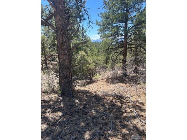 1380 Oak Dr, Westcliffe, CO 81252