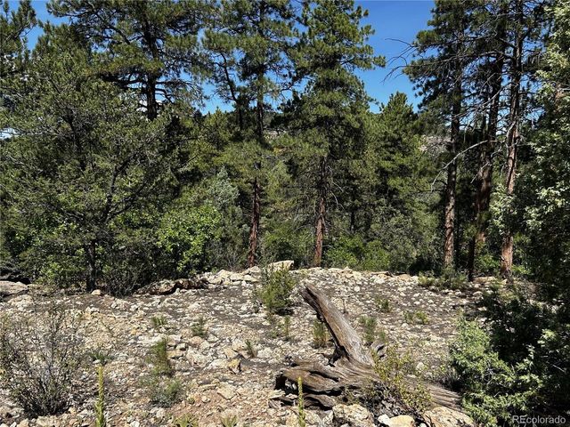 1380 Oak Dr, Westcliffe, CO 81252
