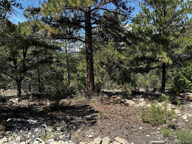 1380 Oak Dr, Westcliffe, CO 81252