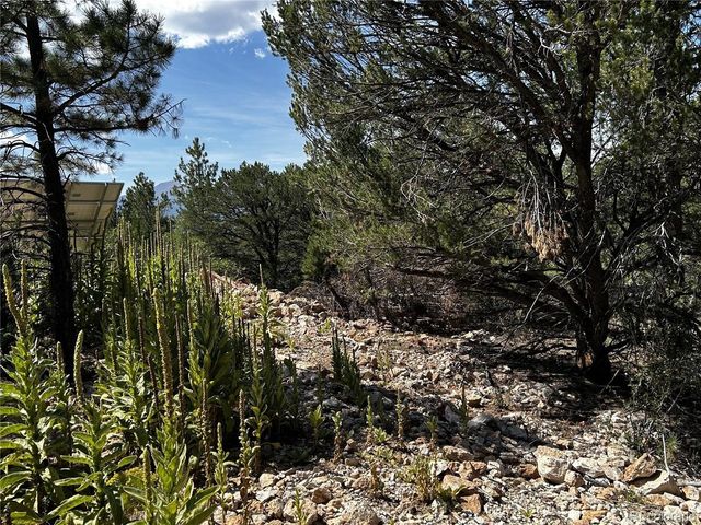 1380 Oak Dr, Westcliffe, CO 81252