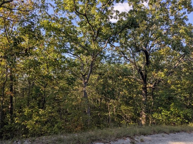 36 Starlite Avenue, Holiday Island, AR 72631