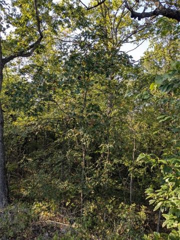 36 Starlite Avenue, Holiday Island, AR 72631