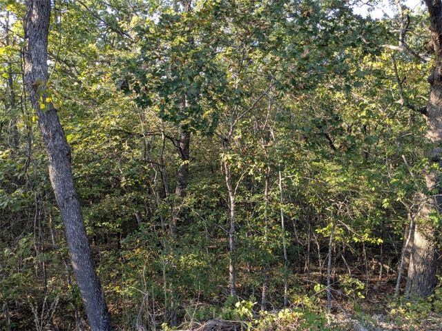 36 Starlite Avenue, Holiday Island, AR 72631